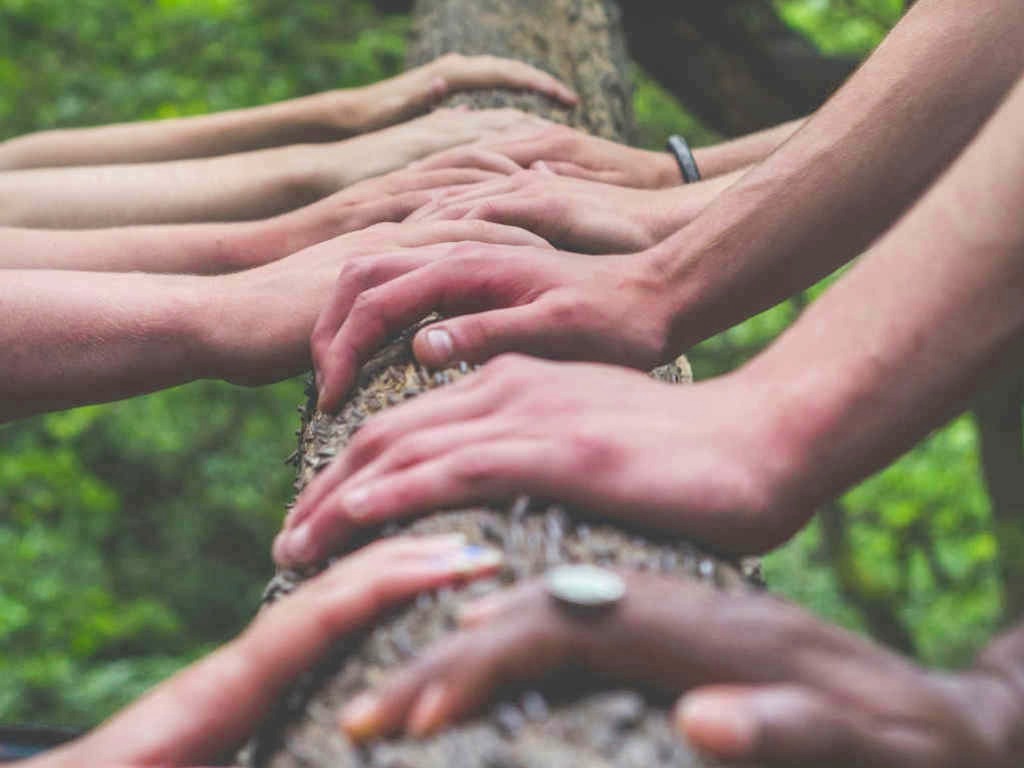 Many pairs of hands are resting on the trunk of a tree, implying unity and structure